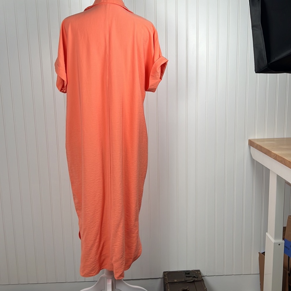 Ann Taylor Factory Orange Button-Down Dress - Picture 3 of 16